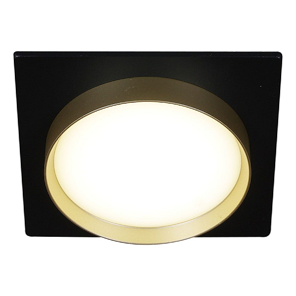 Встраиваемый светильник Reluce Technical 53005-9.0-001LD GX53 BK+GD