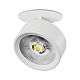 Встраиваемый светильникAlta Pro Lightstar A5636RS