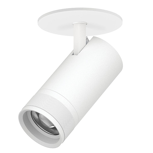 Встраиваемый светильник 20-55G с адаптером Lightstar Canno Pro C4306RS