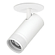 Встраиваемый светильник 20-55G с адаптером Lightstar Canno Pro C4306RS