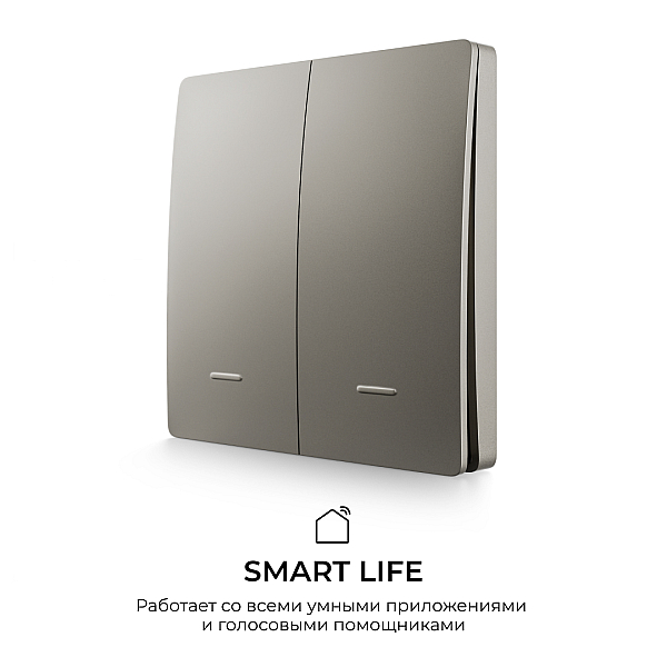 Выключатель кинетический 2кл., IP44, 2,4 ГГц, Smart, сер. Apeyron 04-79
