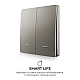 Выключатель кинетический 2кл., IP44, 2,4 ГГц, Smart, сер. Apeyron 04-79