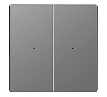 Клавиша двойная Schneider Electric Merten D-Life MTN5220-6036
