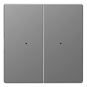 Клавиша двойная Schneider Electric Merten D-Life MTN5220-6036