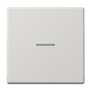 Клавиша 1-ная с линзой Jung LS990 LS990KO5LG