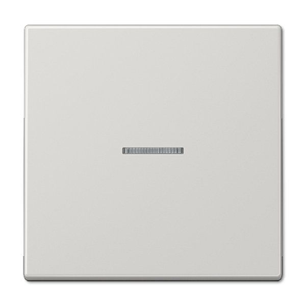 Клавиша 1-ная с линзой Jung LS990 LS990KO5LG