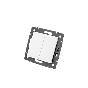 Механизм выключателя двухклавишный проходной Arlight SWT-MKP2-PL-WH-V (250V, 10A) 049892