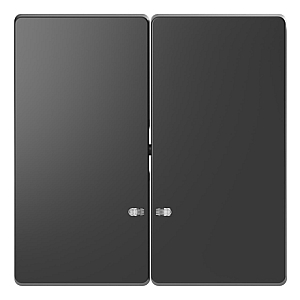 Клавиша двойная Schneider Electric Merten D-Life MTN3420-6034