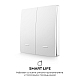Выключатель кинетический 2кл., IP44, 2,4 ГГц, Smart, бел. Apeyron 04-72