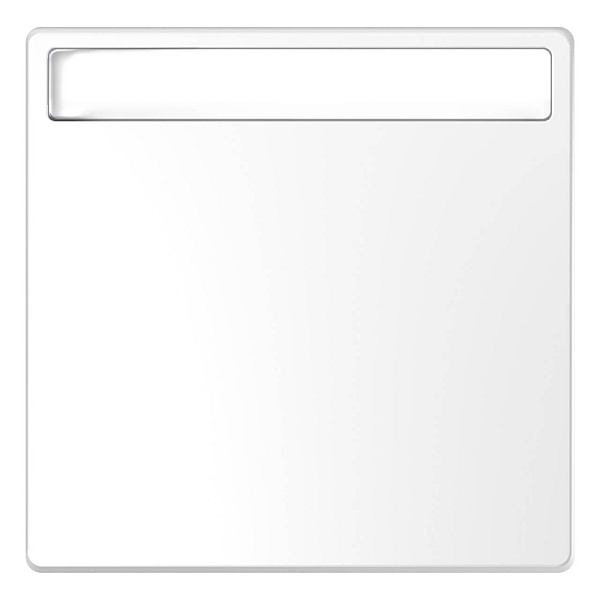 Клавиша одинарная Schneider Electric Merten D-Life MTN3360-6035
