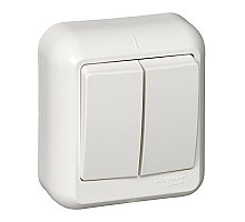 Выключатель 2-клавишный Schneider Electric Прима A56-029I-BI