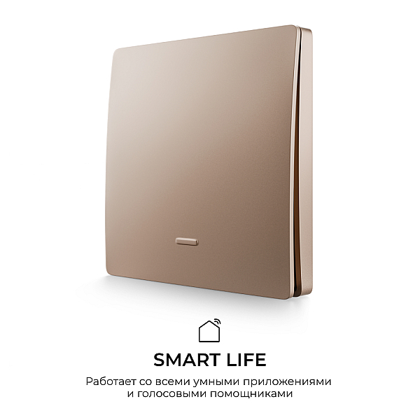 Выключатель кинетический 1кл., IP44, 2,4 ГГц, Smart, беж. Apeyron 04-75