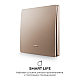 Выключатель кинетический 1кл., IP44, 2,4 ГГц, Smart, беж. Apeyron 04-75