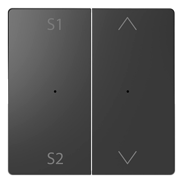 Клавиша двойная Schneider Electric Merten D-Life MTN5227-6034