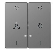 Клавиша двойная Schneider Electric Merten D-Life MTN3429-6036