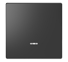 Клавиша одинарная Schneider Electric Merten D-Life MTN3320-6034