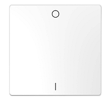 Клавиша одинарная Schneider Electric Merten D-Life MTN3301-6035