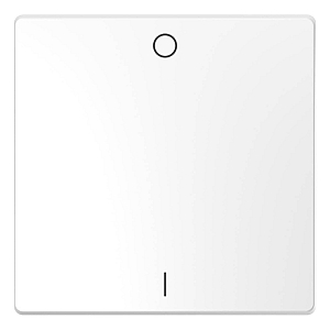 Клавиша одинарная Schneider Electric Merten D-Life MTN3301-6035