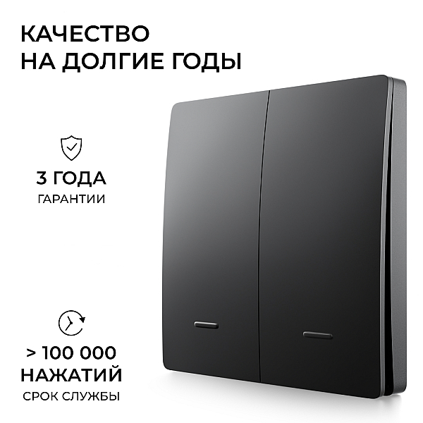 Выключатель кинетический 2кл., IP44, 2,4 ГГц, Smart, чер. Apeyron 04-82