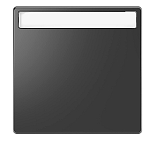 Клавиша одинарная Schneider Electric Merten D-Life MTN3360-6034