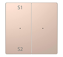 Клавиша двойная Schneider Electric Merten D-Life MTN5226-6051