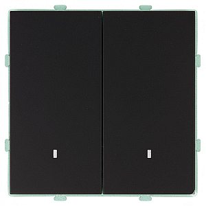Выключатель двухклавишный c индикатором Stekker RSW10-5102-05 Эмили 49838