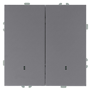 Выключатель 2-клавишный c индикатором Stekker Эмили RSW10-5102-10 49942
