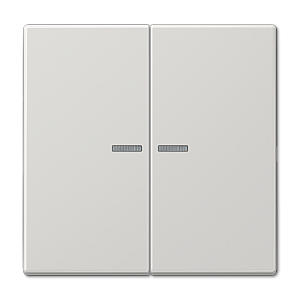 Клавиша 2-ная с 2-мя линзами Jung LS990 LS995KO5LG