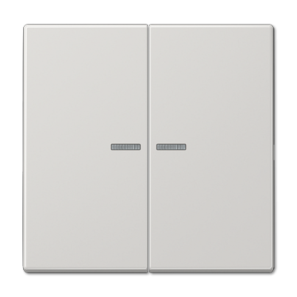 Клавиша 2-ная с 2-мя линзами Jung LS990 LS995KO5LG
