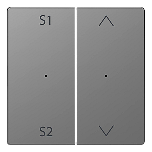 Клавиша двойная Schneider Electric Merten D-Life MTN5227-6036
