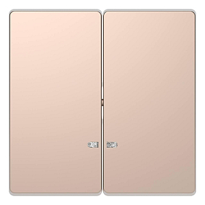 Клавиша двойная Schneider Electric Merten D-Life MTN3420-6051