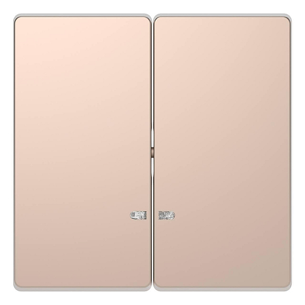 Клавиша двойная Schneider Electric Merten D-Life MTN3420-6051