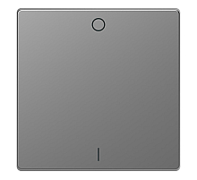 Клавиша одинарная Schneider Electric Merten D-Life MTN3301-6036