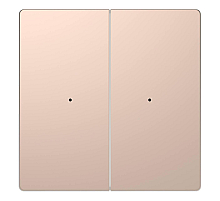 Клавиша двойная Schneider Electric Merten D-Life MTN5220-6051