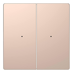 Клавиша двойная Schneider Electric Merten D-Life MTN5220-6051