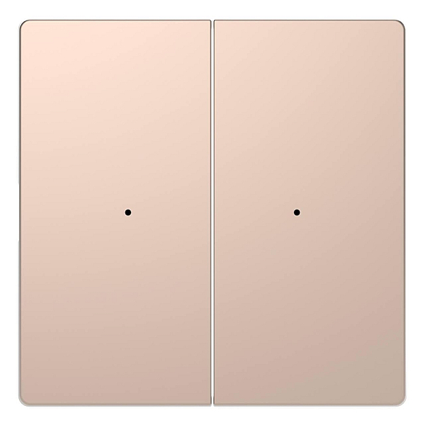 Клавиша двойная Schneider Electric Merten D-Life MTN5220-6051