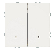 Выключатель двухклавишный c индикатором Stekker RSW10-5102-01 Эмили 49864