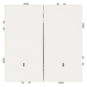 Выключатель двухклавишный c индикатором Stekker RSW10-5102-01 Эмили 49864