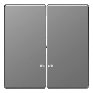 Клавиша двойная Schneider Electric Merten D-Life MTN3420-6036