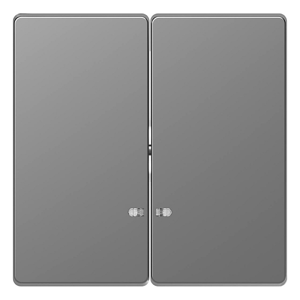 Клавиша двойная Schneider Electric Merten D-Life MTN3420-6036