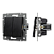 Механизм выключателя двухклавишный непроходной Arlight SWT-MK02-PL-BK-V (250V, 10A) 049888