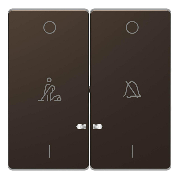 Клавиша двойная Schneider Electric Merten D-Life MTN3429-6052