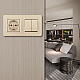 Выключатель двухклавишный с розеткой Arte Milano SET16-2-40-1-30-2 shampan