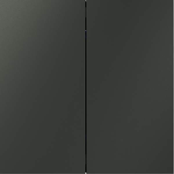 Выключатель с самовозвратом двухклавишный Voltum S70 VLS020606 Выключатель с самовозвратом двухклавишный Voltum S70 VLS020606