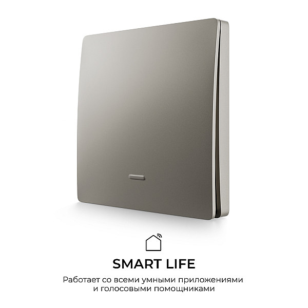 Выключатель кинетический 1кл., IP44, 2,4 ГГц, Smart, сер. Apeyron 04-78