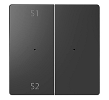 Клавиша двойная Schneider Electric Merten D-Life MTN5226-6034