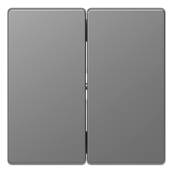 Клавиша двойная Schneider Electric Merten D-Life MTN3400-6036