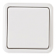 Выключатель одноклавишный Arte Milano 310.30-1.white