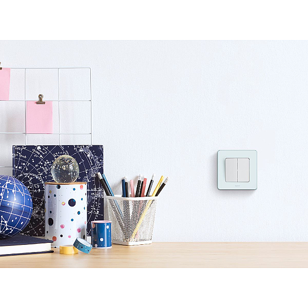 Выключатель двухклавишный Legrand Inspiria 673620