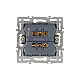 Механизм выключателя двухклавишный проходной Arlight SWT-MKP2-PL-BK (250V, 16A) 043728
